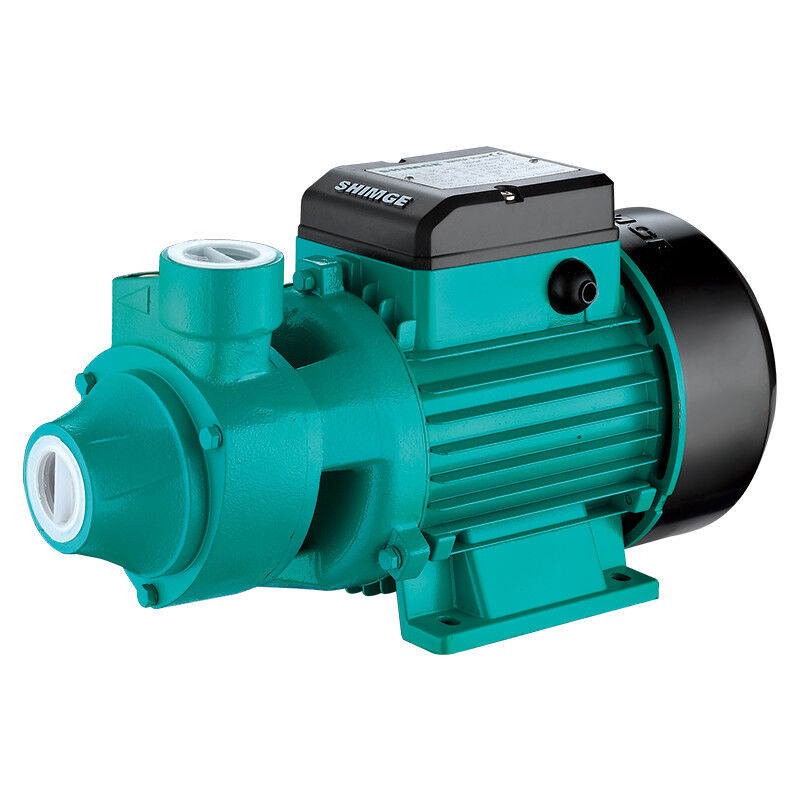 Shimge Water Pump 0.75HP QB70G1